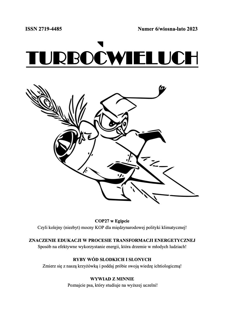  TurboĆwieluch 6